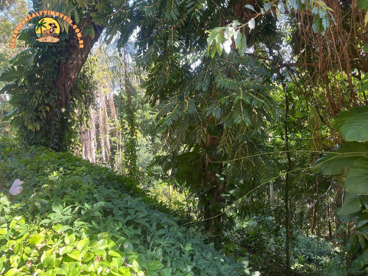 Loteamento e Condomínio, 787 m² - Foto 4