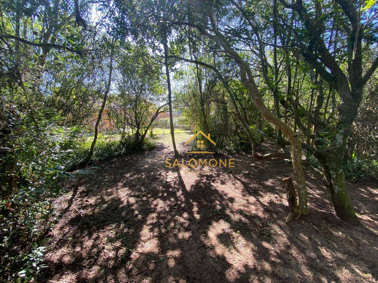 Sítio, 2000 m² - Foto 23