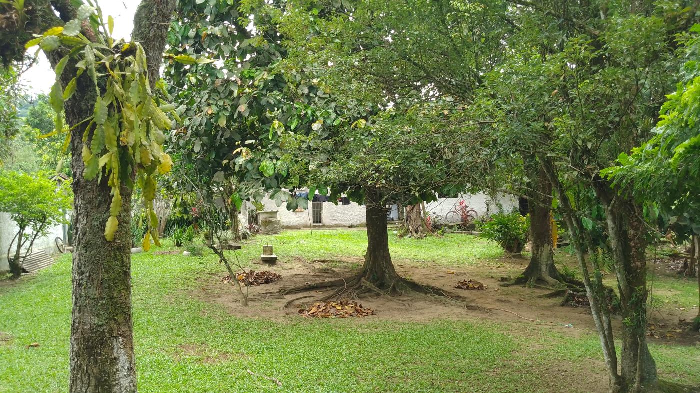 Sítio à venda, 10000m² - Foto 25