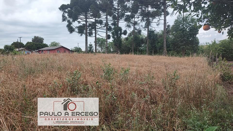 Fazenda à venda com 1 quarto, 1780m² - Foto 2