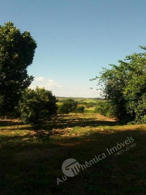 Sítio à venda com 2 quartos, 10084m² - Foto 11