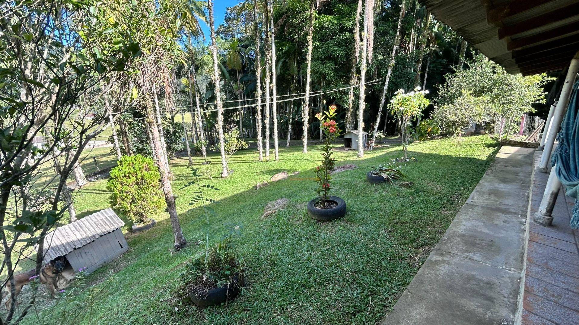 Sítio, 3 hectares - Foto 49