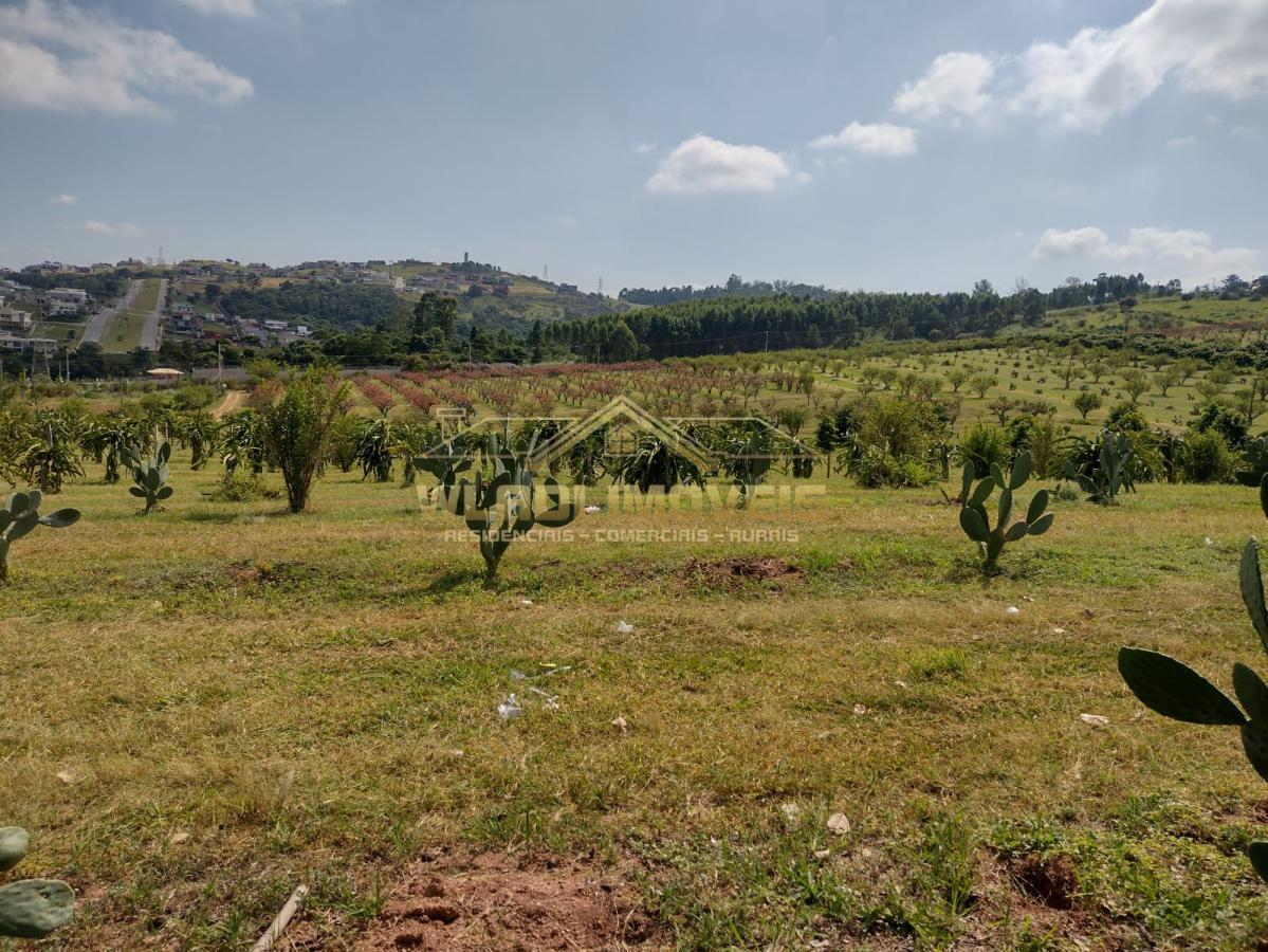 Fazenda à venda, 5m² - Foto 35