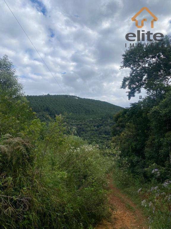 Fazenda à venda, 948000M2 - Foto 4