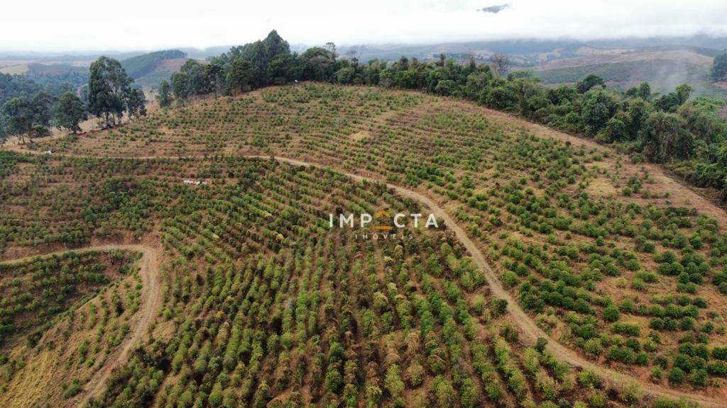 Fazenda à venda com 4 quartos, 4280000M2 - Foto 18