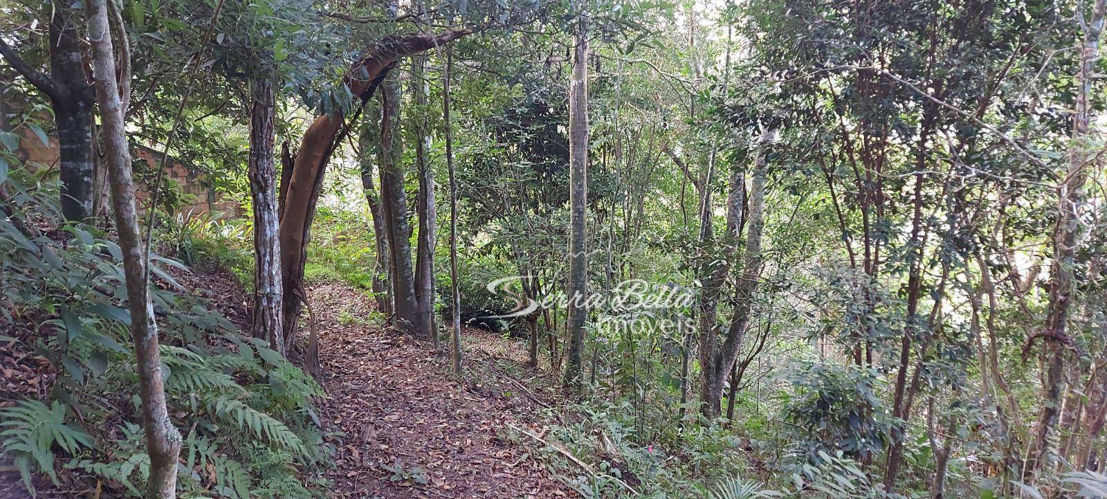 Terreno à venda, 1200M2 - Foto 1