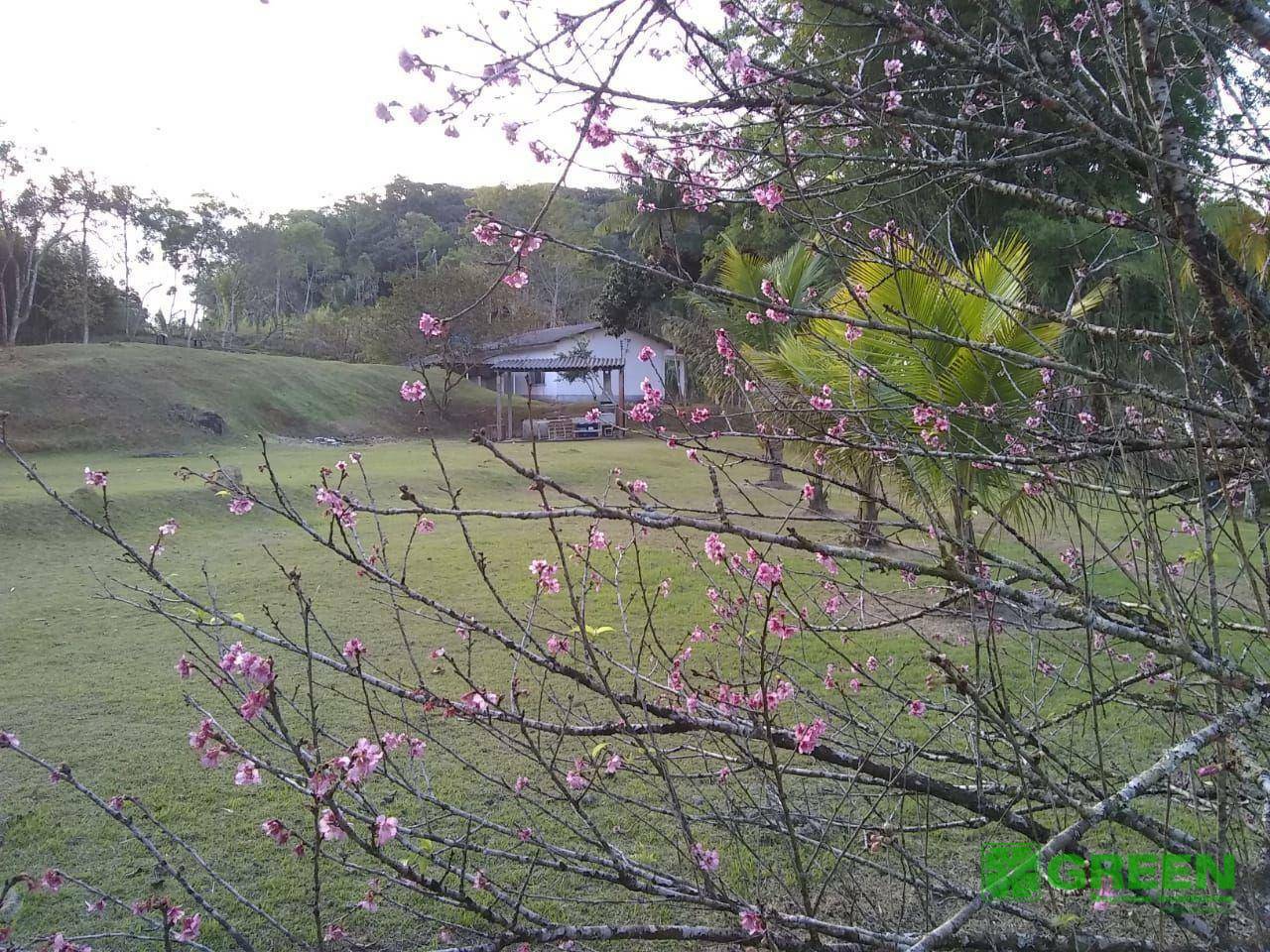 Terreno à venda, 280000M2 - Foto 7