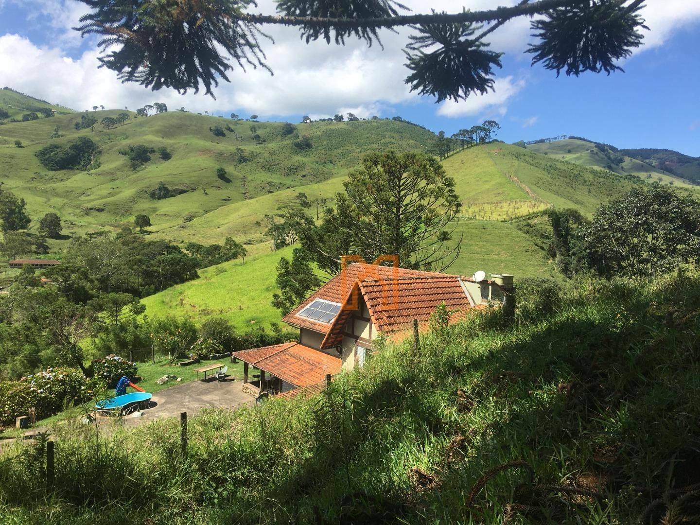 Fazenda à venda com 4 quartos, 3030000M2 - Foto 13