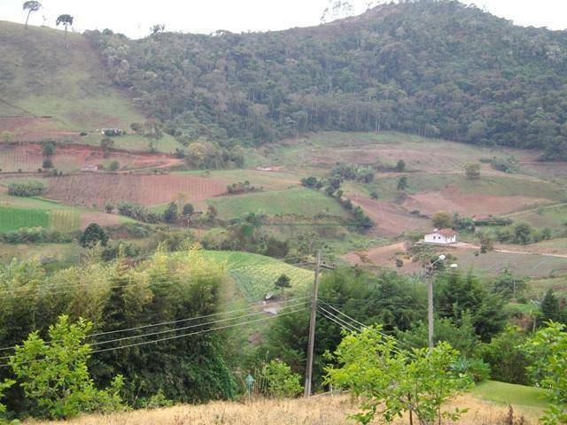 Fazenda à venda com 3 quartos, 400m² - Foto 26