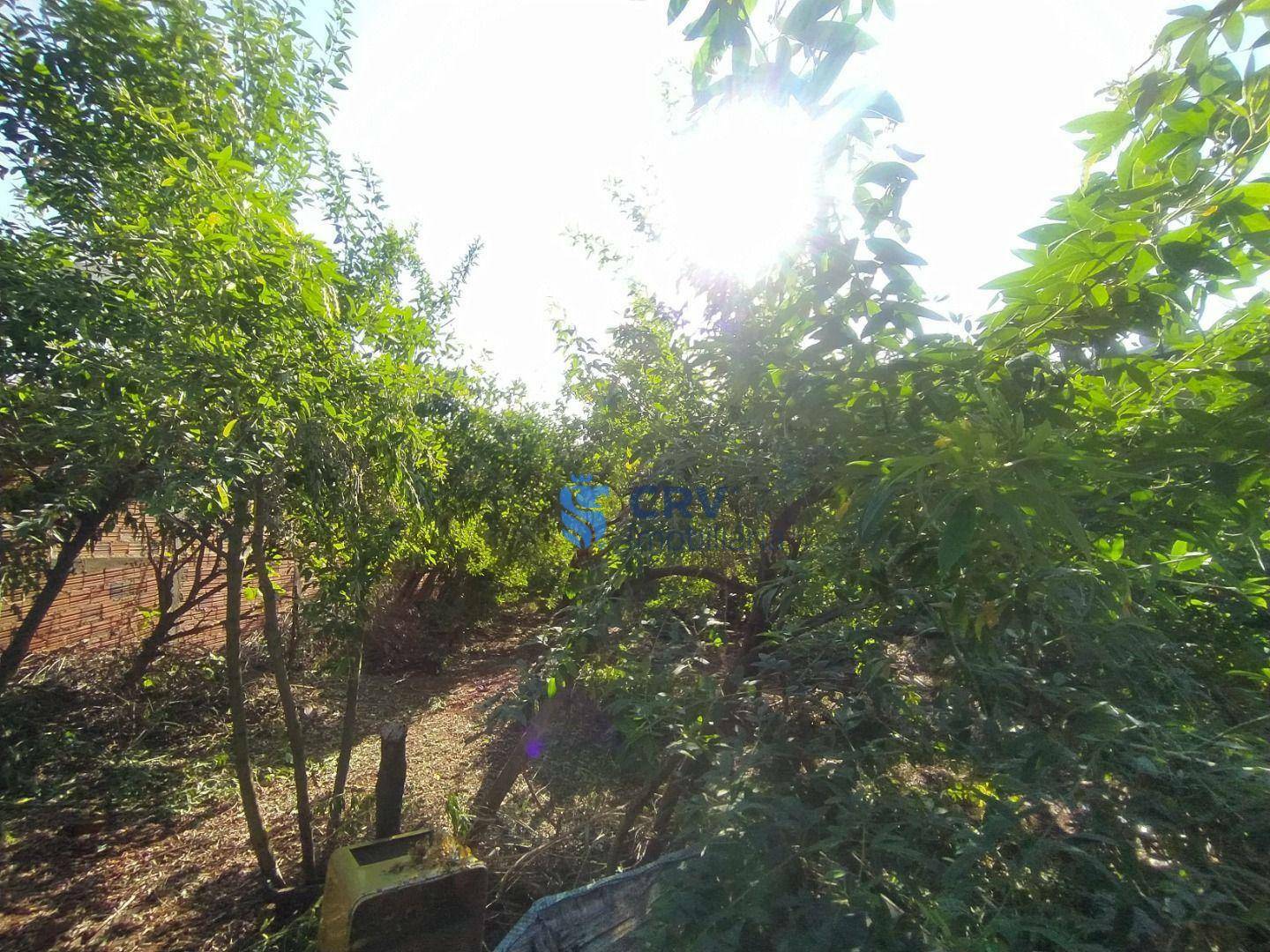 Terreno à venda, 339M2 - Foto 3