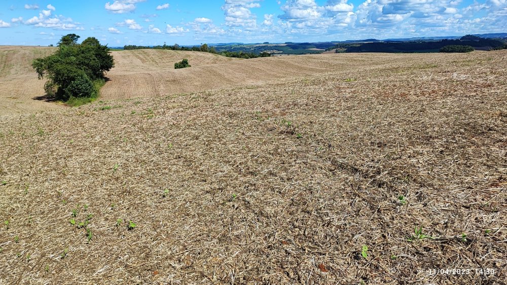 Fazenda à venda, 9m² - Foto 19