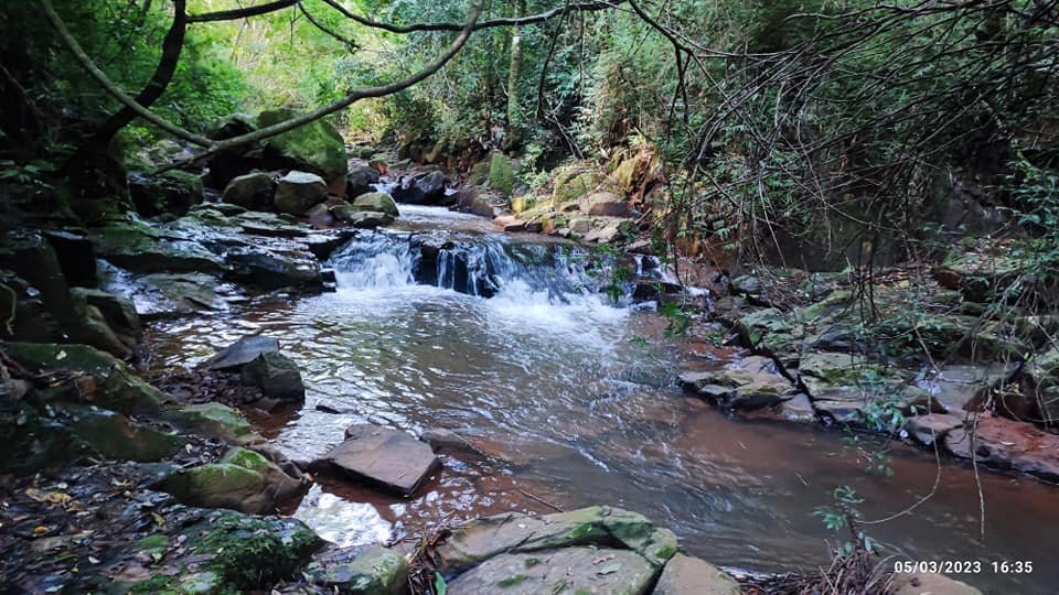 Fazenda à venda com 3 quartos, 17000m² - Foto 6