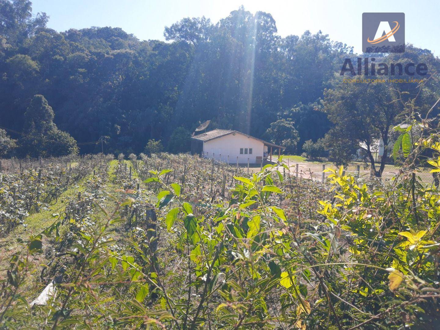 Terreno, 1632 m² - Foto 5