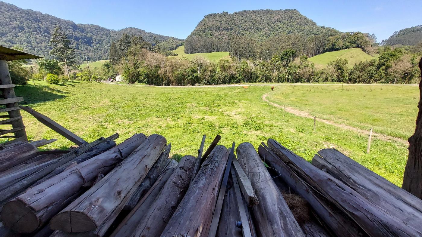 Fazenda à venda com 4 quartos, 101500m² - Foto 24