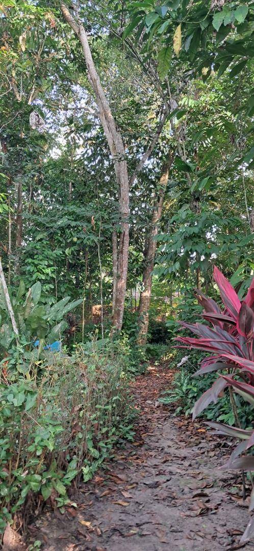 Sítio, 4 m² - Foto 5