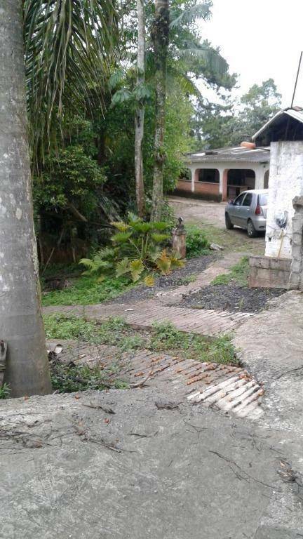 Chácara, 2 quartos, 9918 m² - Foto 3