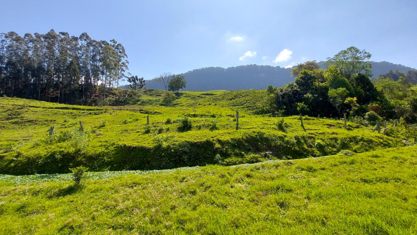 Fazenda à venda com 4 quartos, 101500m² - Foto 25