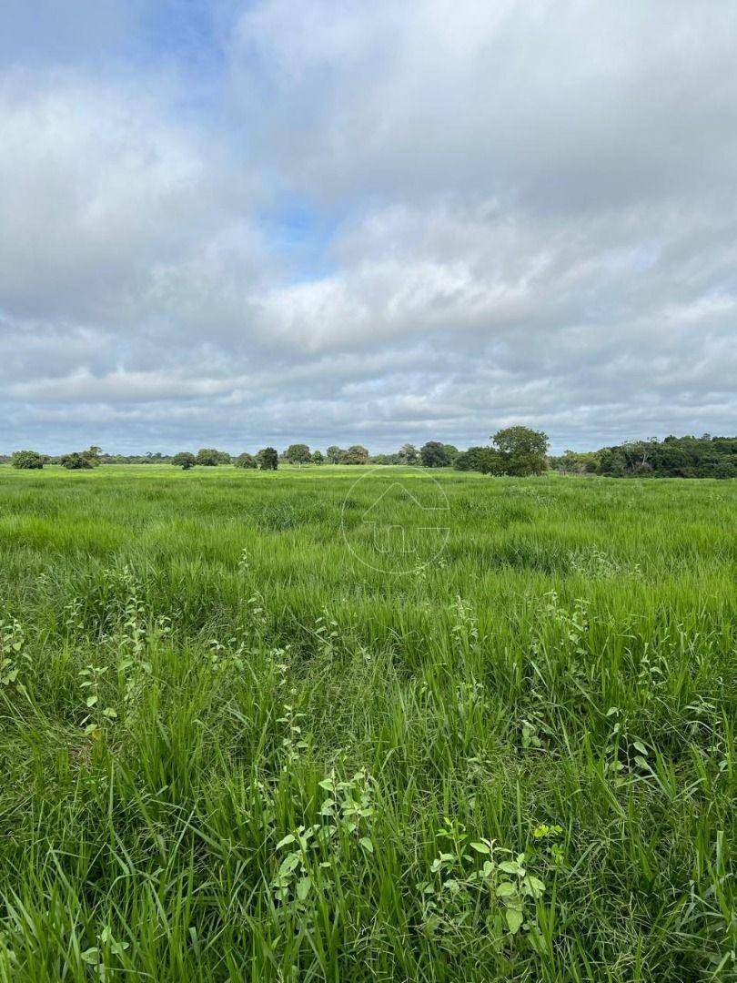 Fazenda à venda, 42910000M2 - Foto 25