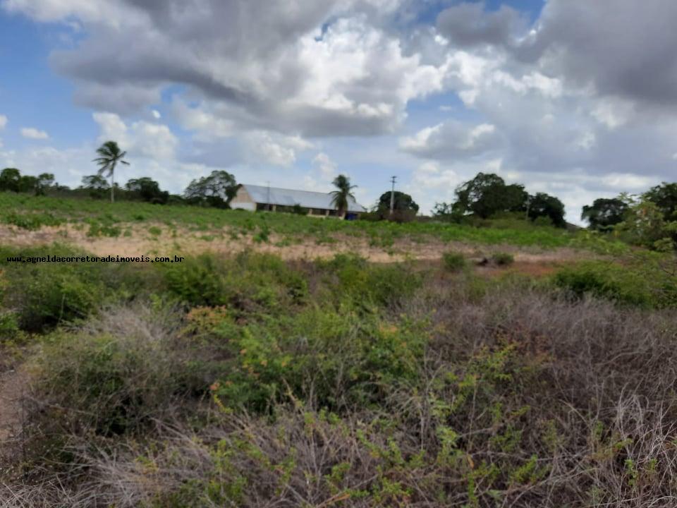 Fazenda à venda com 2 quartos, 14m² - Foto 18