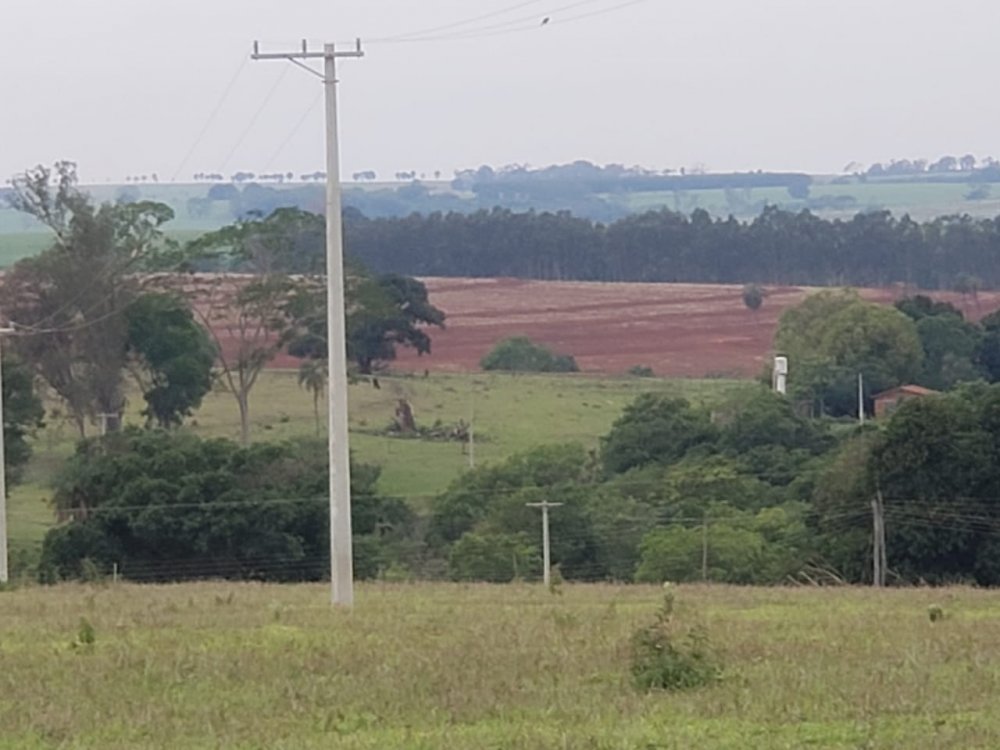 Fazenda-Sítio-Chácara, 53 hectares - Foto 4