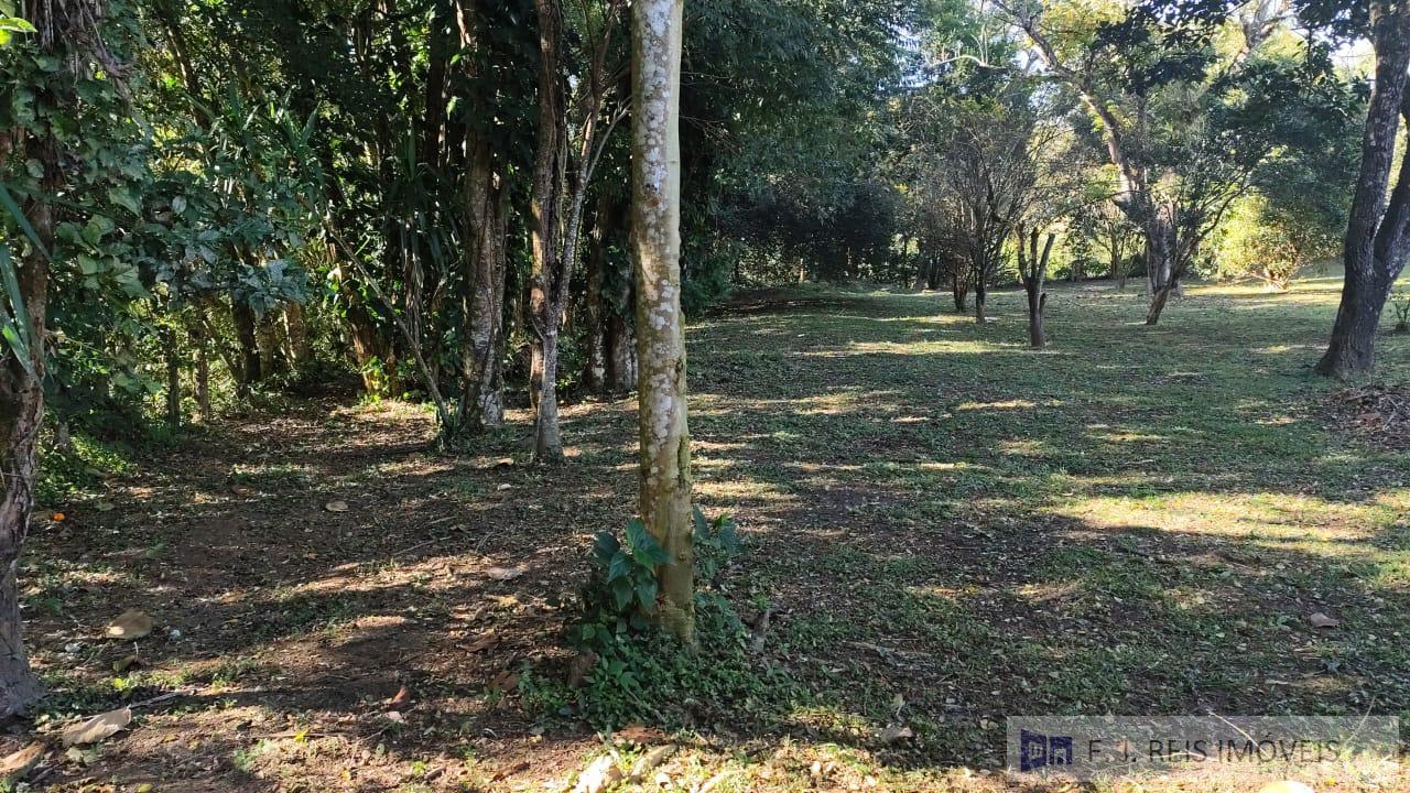 Fazenda à venda com 3 quartos, 3700m² - Foto 27