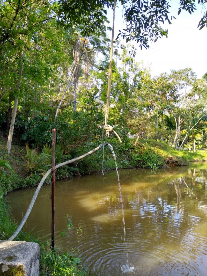 Fazenda à venda com 2 quartos, 120m² - Foto 9