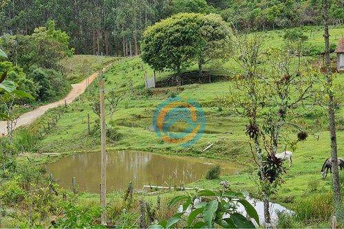 Chácara, 2 hectares - Foto 24