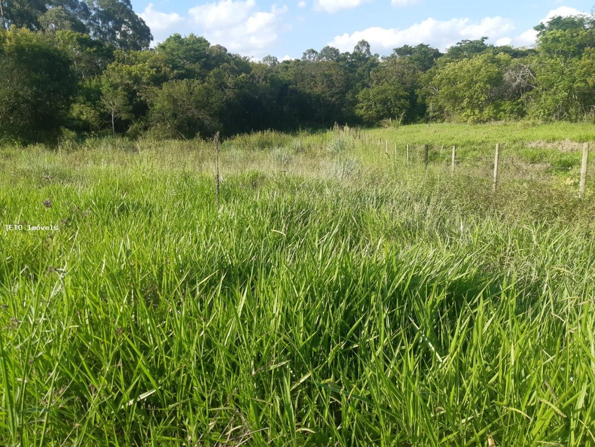 Fazenda à venda com 2 quartos, 10000m² - Foto 25