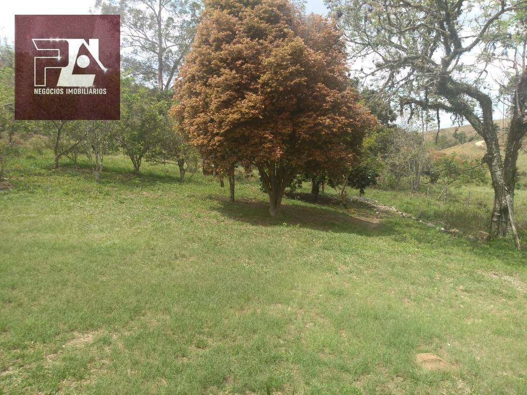 Fazenda à venda com 4 quartos, 1452000M2 - Foto 39