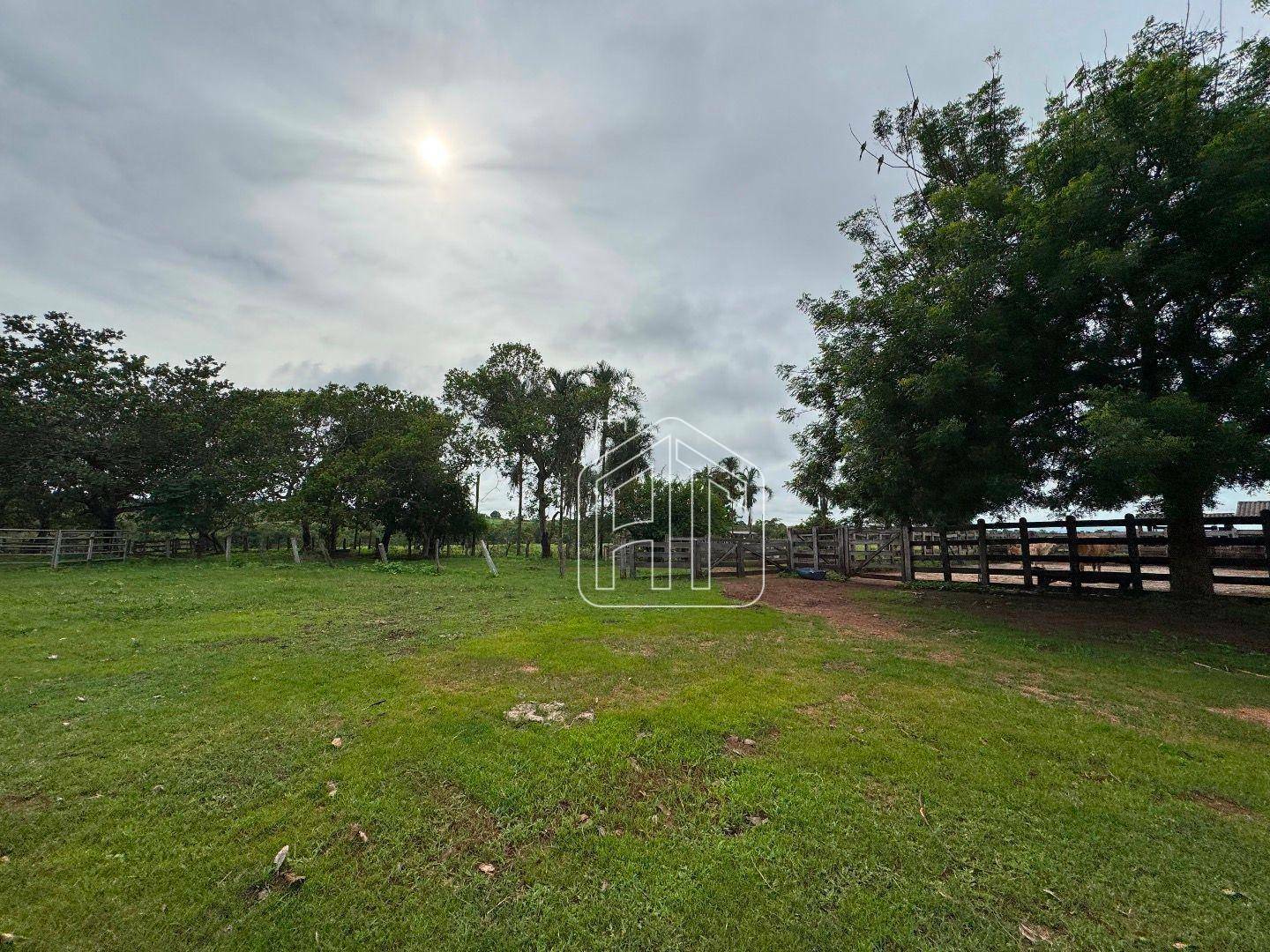 Fazenda à venda com 3 quartos, 26600000M2 - Foto 18