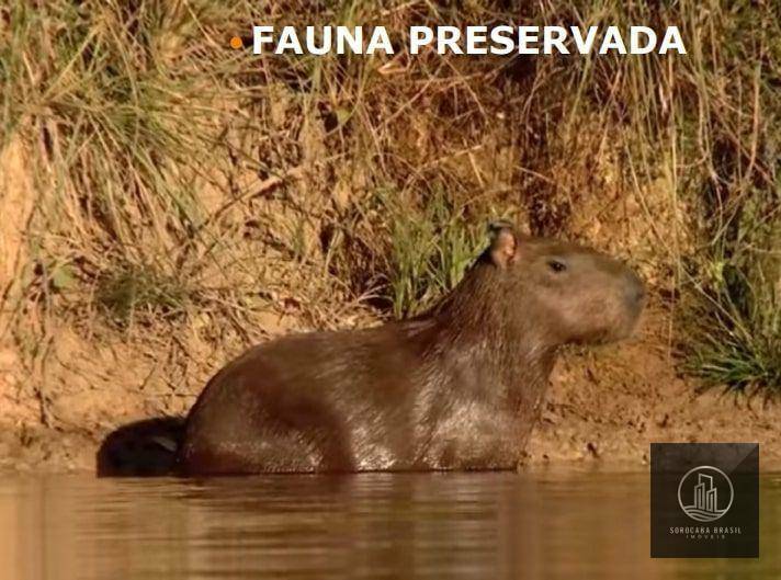 Fazenda à venda, 4270000000M2 - Foto 20