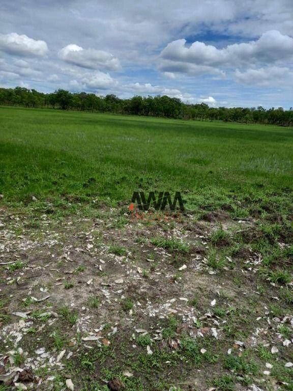 Fazenda, 4122 hectares - Foto 4