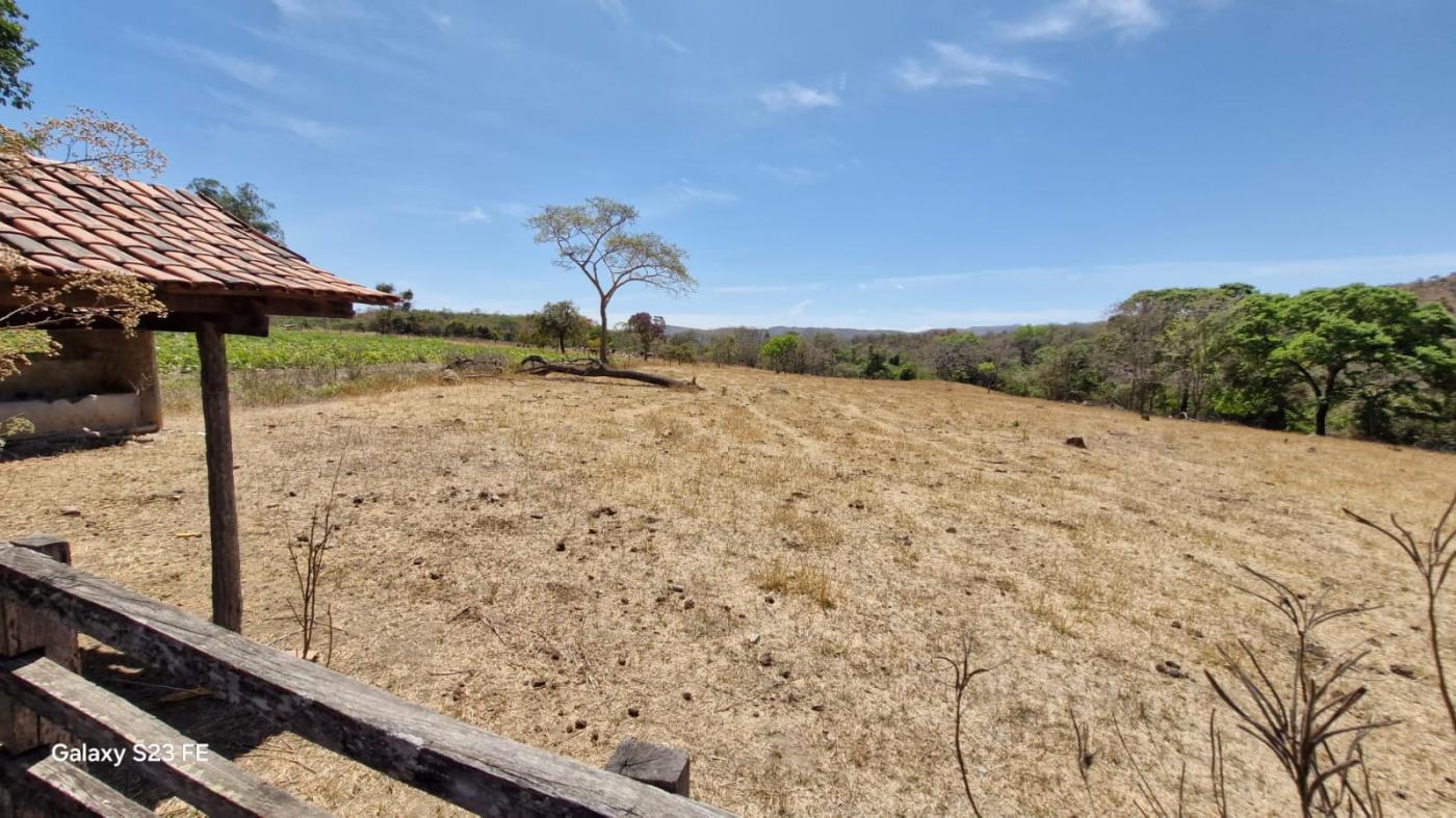 Fazenda à venda com 4 quartos, 1180000m² - Foto 6