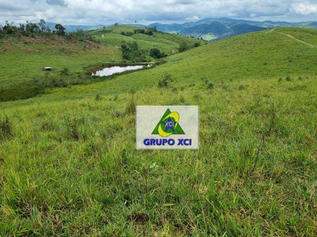 Fazenda-Sítio-Chácara, 250 hectares - Foto 41