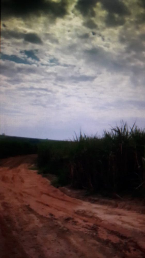 Fazenda-Sítio-Chácara, 697 hectares - Foto 2