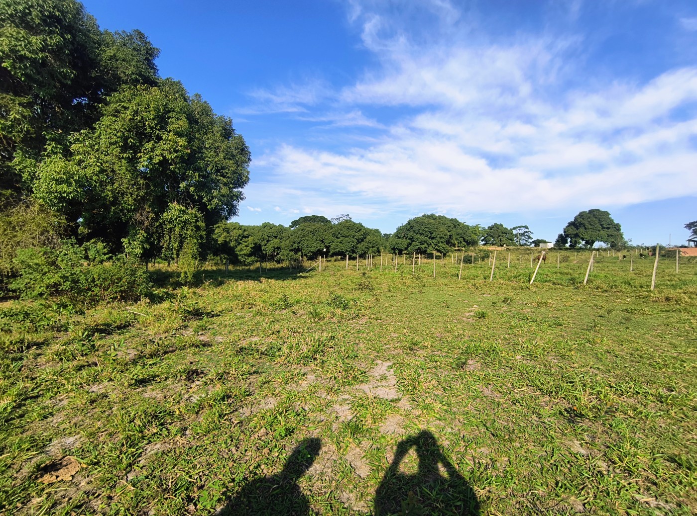 Terreno à venda, 2350m² - Foto 12