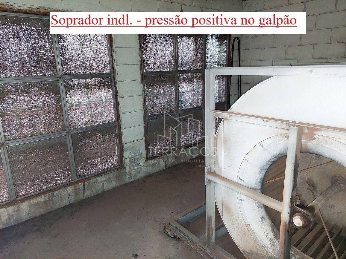 Depósito-Galpão-Armazém à venda e aluguel, 1500m² - Foto 19