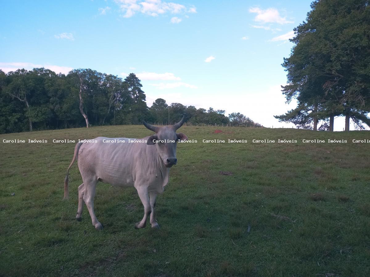 Fazenda à venda, 160000m² - Foto 14