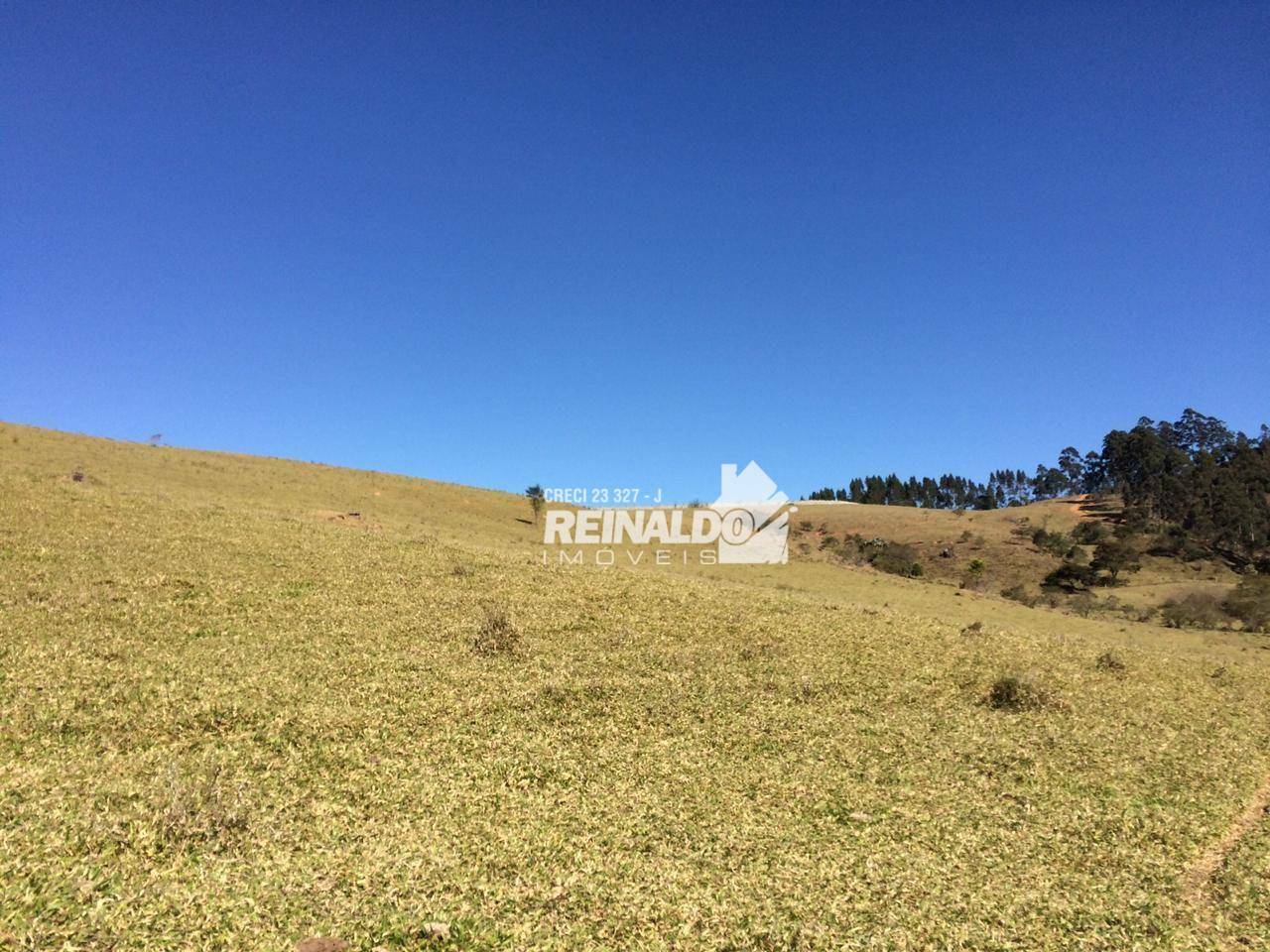 Fazenda à venda com 8 quartos, 950m² - Foto 55