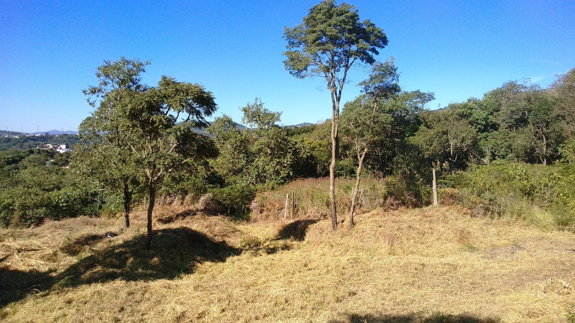 Terreno à venda, 27240M2 - Foto 1