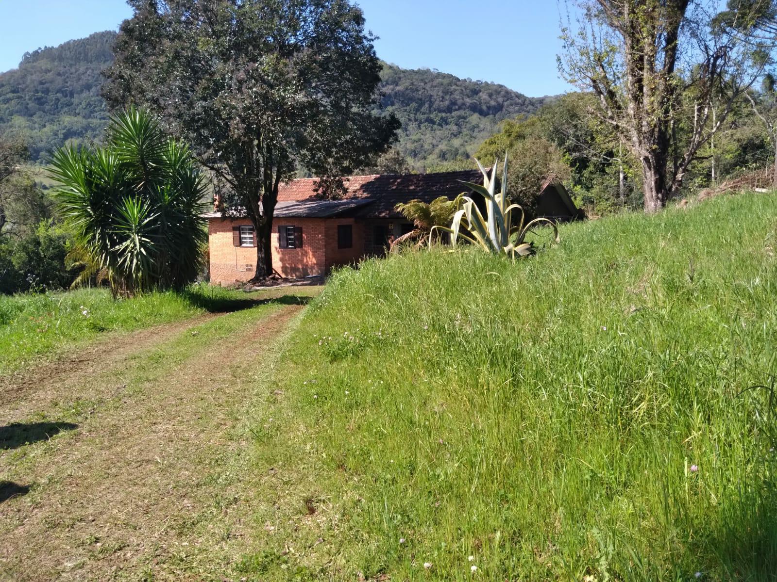 Sítio à venda com 1 quarto, 90m² - Foto 28