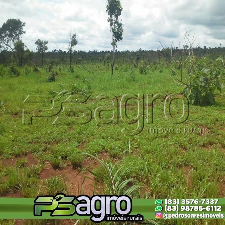 Fazenda à venda, 77070000M2 - Foto 9