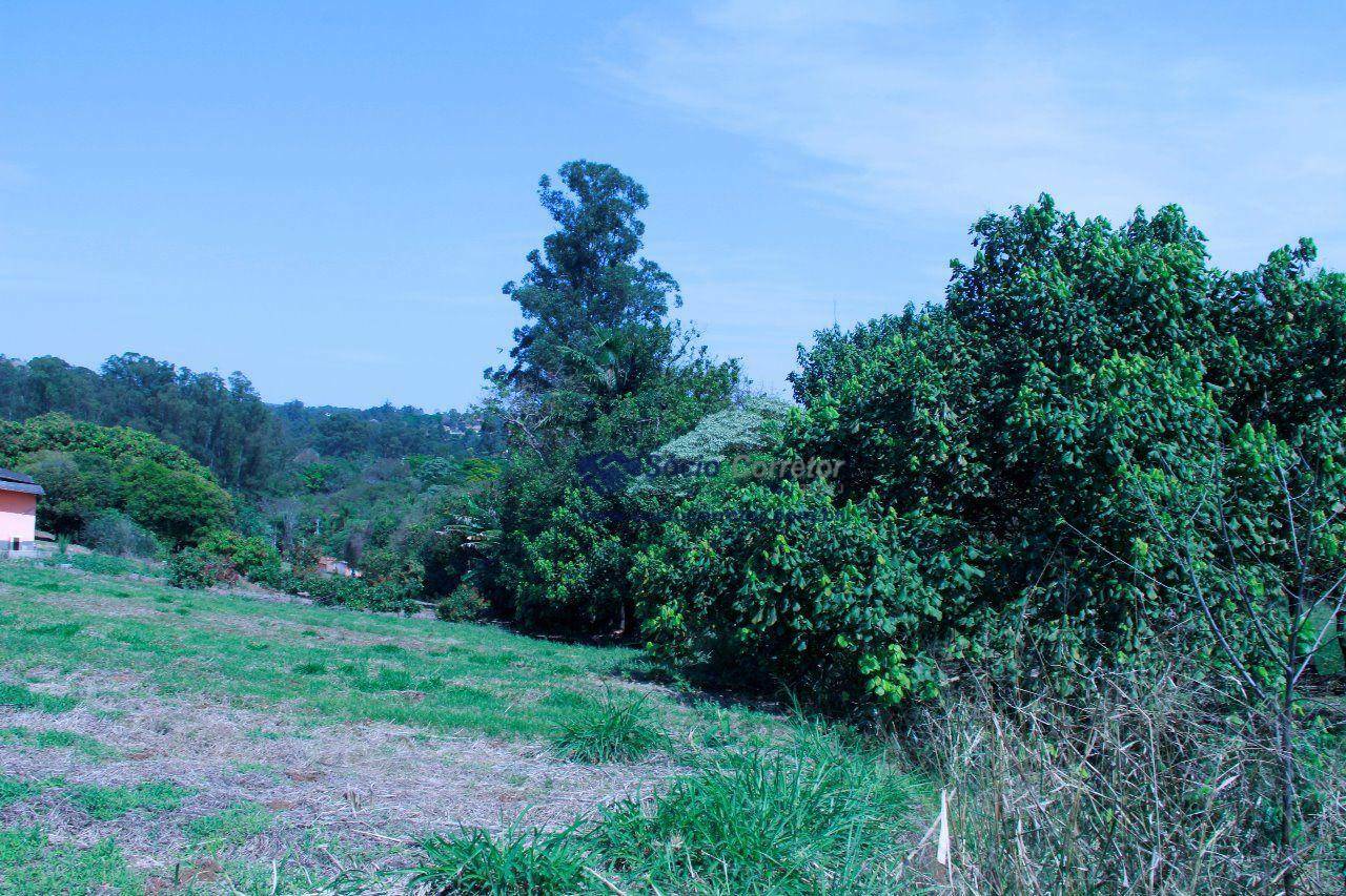 Terreno à venda, 38622M2 - Foto 31