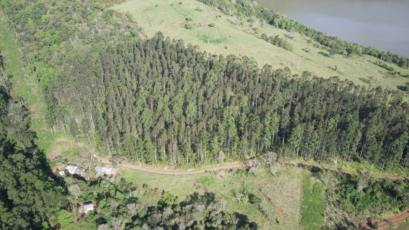 Terreno à venda, 40000m² - Foto 3