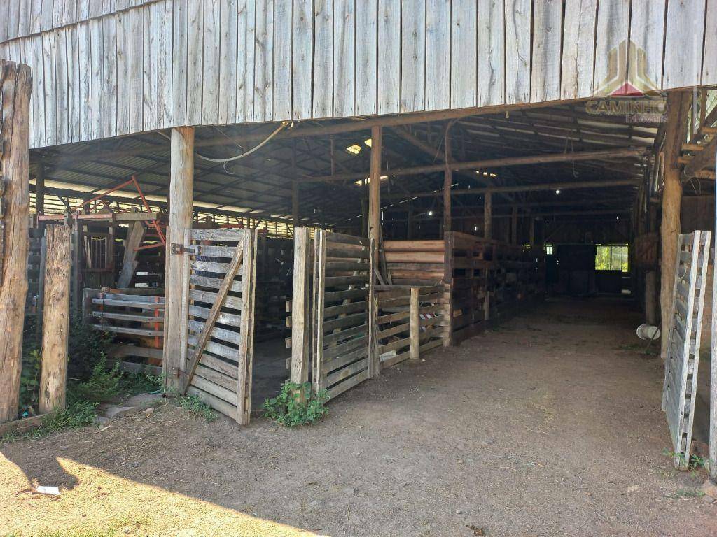 Fazenda à venda, 600000M2 - Foto 6