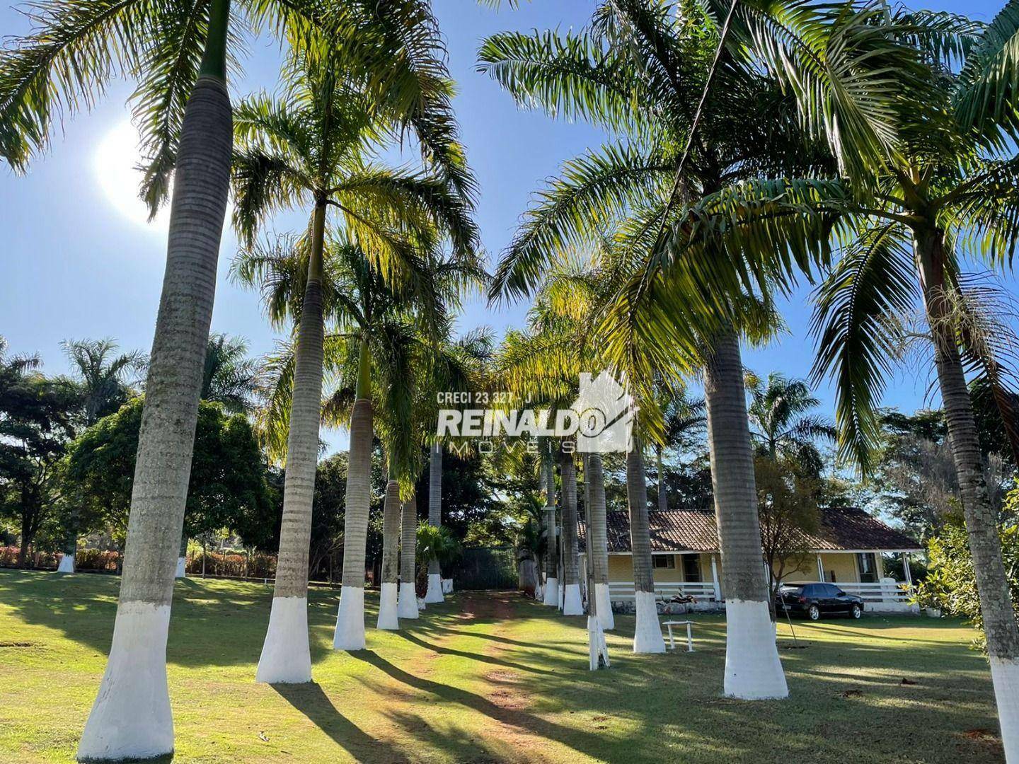 Sítio à venda com 2 quartos, 800m² - Foto 7