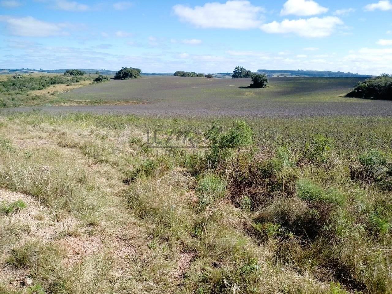 Fazenda-Sítio-Chácara, 50 m² - Foto 8