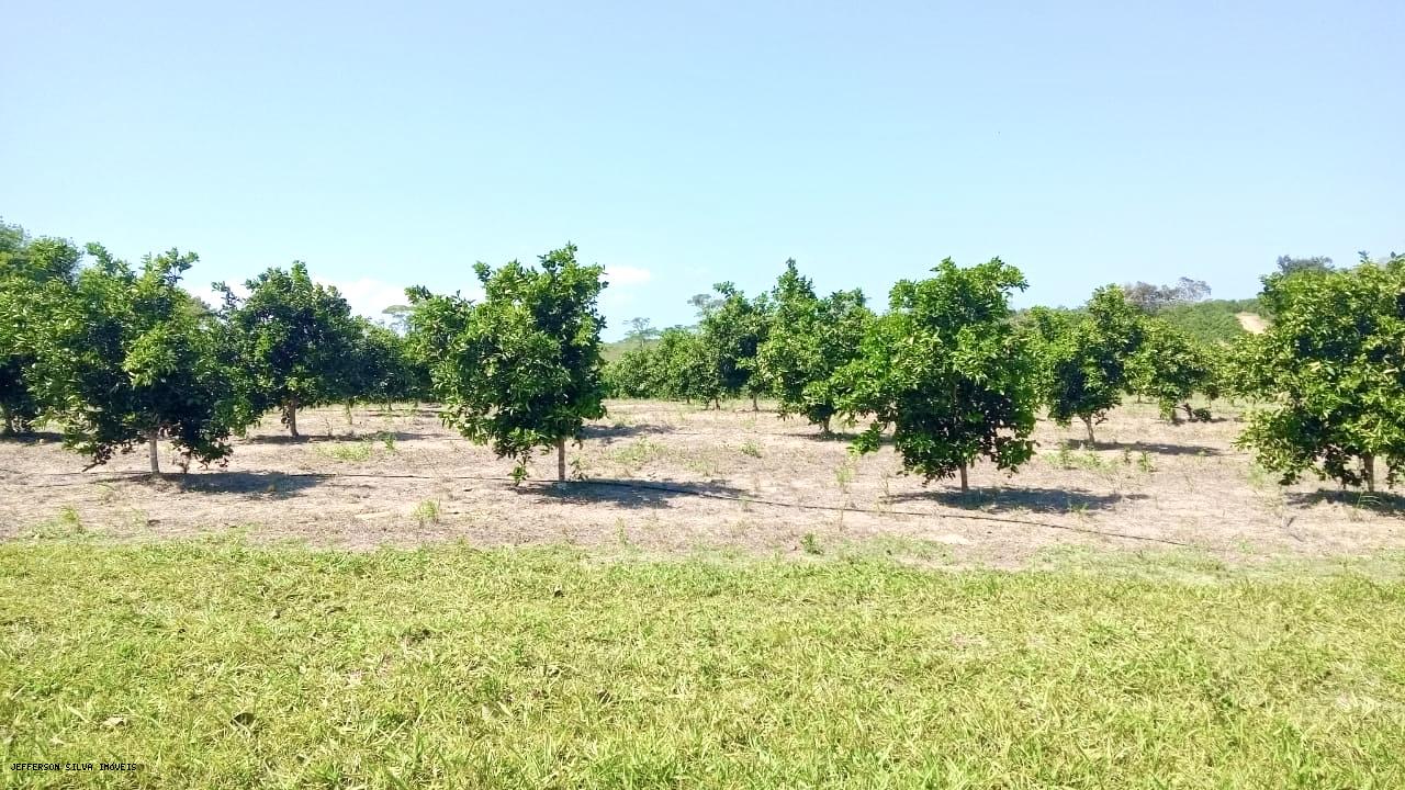 Fazenda à venda, 500000m² - Foto 13