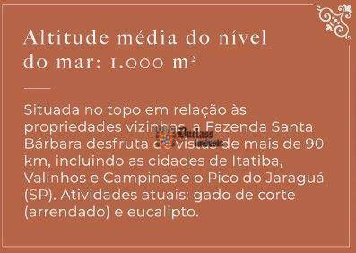 Fazenda à venda com 6 quartos, 500m² - Foto 47