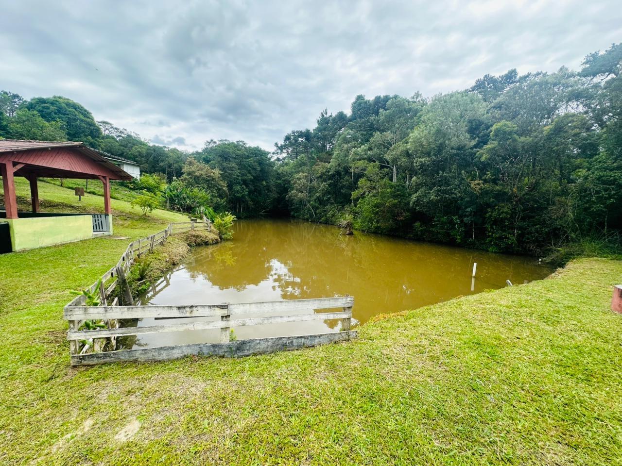 Fazenda à venda com 3 quartos, 8000m² - Foto 50